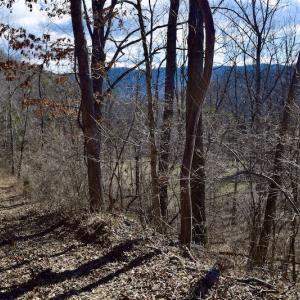 Photo #50 of SOLD property in 2880 South Buffalo Rd, Lexington, VA 341.1 acres