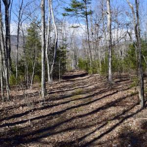 Photo #51 of SOLD property in 2880 South Buffalo Rd, Lexington, VA 341.1 acres