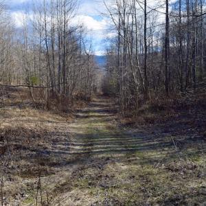 Photo #53 of SOLD property in 2880 South Buffalo Rd, Lexington, VA 341.1 acres