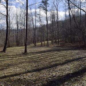 Photo #54 of SOLD property in 2880 South Buffalo Rd, Lexington, VA 341.1 acres