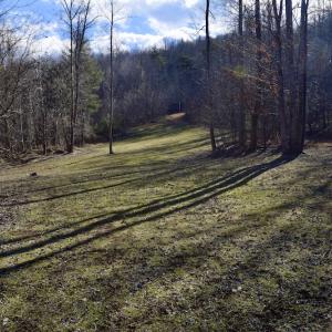 Photo #55 of SOLD property in 2880 South Buffalo Rd, Lexington, VA 341.1 acres