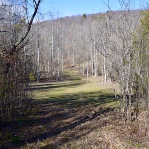 Photo #56 of SOLD property in 2880 South Buffalo Rd, Lexington, VA 341.1 acres