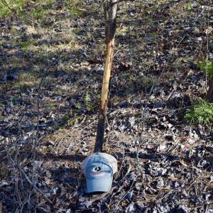 Photo #57 of SOLD property in 2880 South Buffalo Rd, Lexington, VA 341.1 acres
