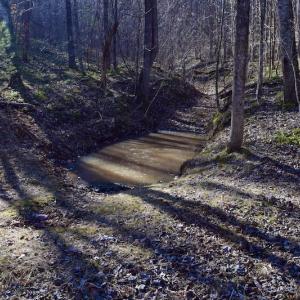 Photo #58 of SOLD property in 2880 South Buffalo Rd, Lexington, VA 341.1 acres