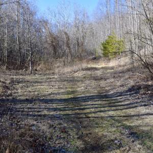 Photo #59 of SOLD property in 2880 South Buffalo Rd, Lexington, VA 341.1 acres