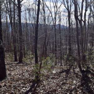 Photo #60 of SOLD property in 2880 South Buffalo Rd, Lexington, VA 341.1 acres