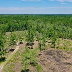 Photo #13 of SOLD property in 130 Deep Creek Drive, New Bern, NC 50.0 acres