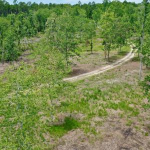 Photo #14 of SOLD property in 130 Deep Creek Drive, New Bern, NC 50.0 acres