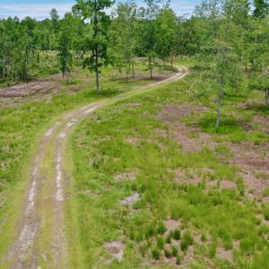 Photo #15 of SOLD property in 130 Deep Creek Drive, New Bern, NC 50.0 acres