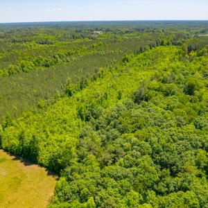 Photo #8 of SOLD property in Off NC 98 HWY, Louisburg, NC 16.0 acres