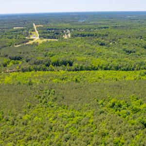 Photo #11 of SOLD property in Off NC 98 HWY, Louisburg, NC 16.0 acres