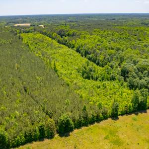 Photo #12 of SOLD property in Off NC 98 HWY, Louisburg, NC 16.0 acres