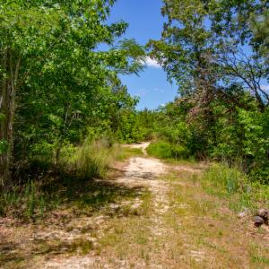 Photo #13 of SOLD property in Off NC 98 HWY, Louisburg, NC 16.0 acres