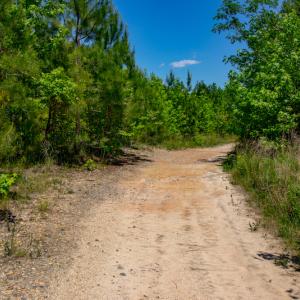 Photo #14 of SOLD property in Off NC 98 HWY, Louisburg, NC 16.0 acres