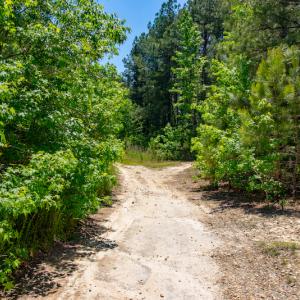 Photo #15 of SOLD property in Off NC 98 HWY, Louisburg, NC 16.0 acres
