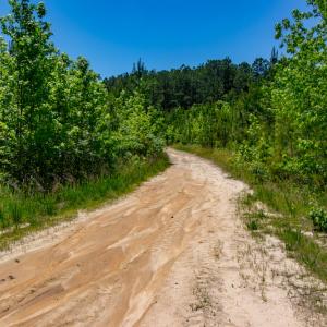 Photo #16 of SOLD property in Off NC 98 HWY, Louisburg, NC 16.0 acres