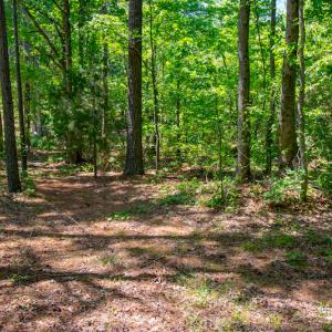 Photo #18 of SOLD property in Off NC 98 HWY, Louisburg, NC 16.0 acres