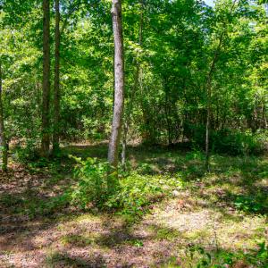 Photo #19 of SOLD property in Off NC 98 HWY, Louisburg, NC 16.0 acres