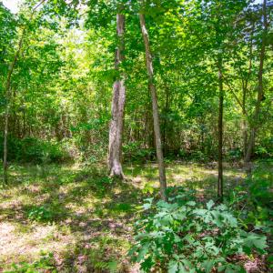 Photo #20 of SOLD property in Off NC 98 HWY, Louisburg, NC 16.0 acres