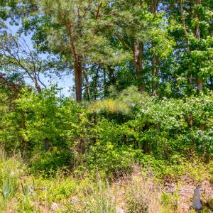 Photo #22 of SOLD property in Off NC 98 HWY, Louisburg, NC 16.0 acres