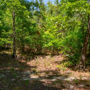 Photo #23 of SOLD property in Off NC 98 HWY, Louisburg, NC 16.0 acres