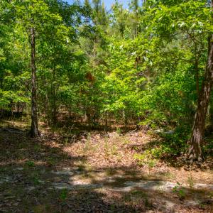 Photo #23 of SOLD property in Off NC 98 HWY, Louisburg, NC 16.0 acres