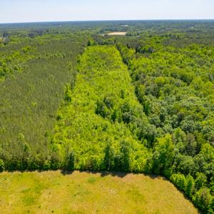 Photo #7 of SOLD property in Off NC 98 HWY, Louisburg, NC 16.0 acres