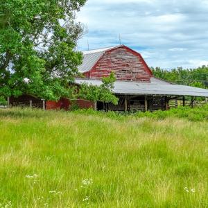 Photo #29 of 2235 Cherry Grove Road, Yanceyville, NC 11.2 acres