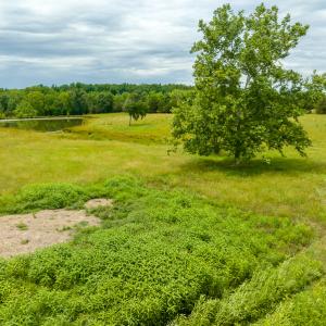 Photo #40 of 2235 Cherry Grove Road, Yanceyville, NC 11.2 acres