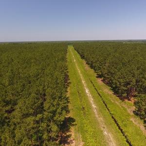 Photo #3 of Off Kingtown Road NW, Ash, NC 99.1 acres