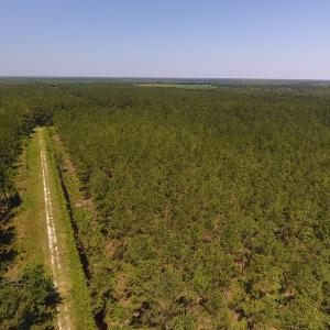 Photo #5 of Off Kingtown Road NW, Ash, NC 99.1 acres