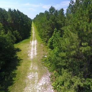 Photo #9 of Off Kingtown Road NW, Ash, NC 99.1 acres