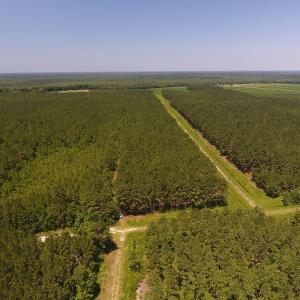 Photo #7 of Off Kingtown Road NW, Ash, NC 99.1 acres