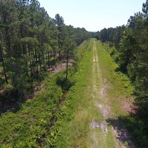 Photo #11 of Off Kingtown Road NW, Ash, NC 99.1 acres