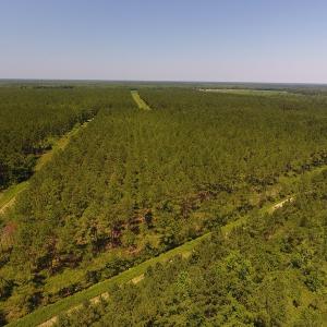 Photo #8 of Off Kingtown Road NW, Ash, NC 99.1 acres