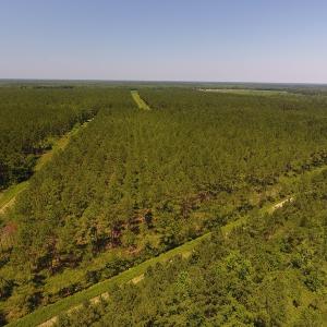 Photo #8 of Off Kingtown Road NW, Ash, NC 99.1 acres