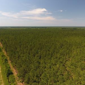 Photo #4 of Off Kingtown Road NW, Ash, NC 99.1 acres