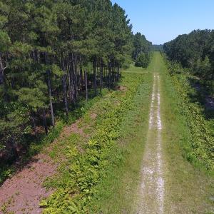 Photo #10 of Off Kingtown Road NW, Ash, NC 99.1 acres