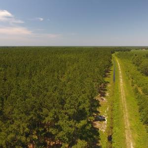 Photo #2 of Off Kingtown Road NW, Ash, NC 99.1 acres