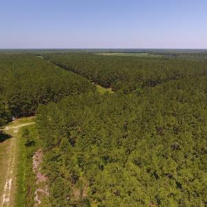 Photo #6 of Off Kingtown Road NW, Ash, NC 99.1 acres