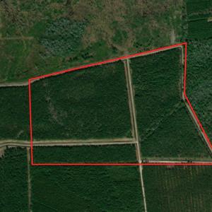 Photo #1 of Off Kingtown Road NW, Ash, NC 99.1 acres