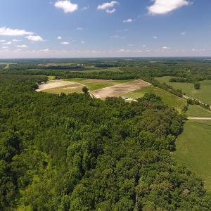 Photo #2 of SOLD property in Off Brayboy Road, Rowland, NC 15.0 acres