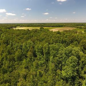 Photo #4 of SOLD property in Off Brayboy Road, Rowland, NC 15.0 acres
