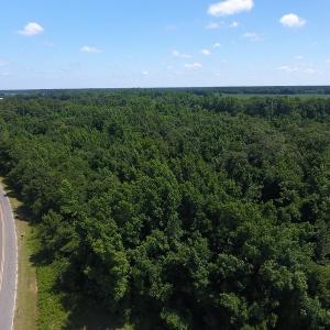 Photo #7 of SOLD property in Off Brayboy Road, Rowland, NC 15.0 acres