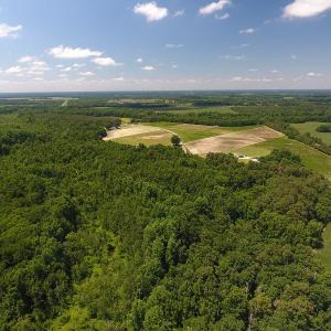 Photo #8 of SOLD property in Off Brayboy Road, Rowland, NC 15.0 acres