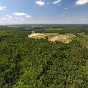 Photo #8 of SOLD property in Off Brayboy Road, Rowland, NC 15.0 acres