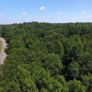 Photo #10 of SOLD property in Off Brayboy Road, Rowland, NC 15.0 acres