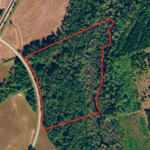 Photo #1 of SOLD property in Off Brayboy Road, Rowland, NC 15.0 acres