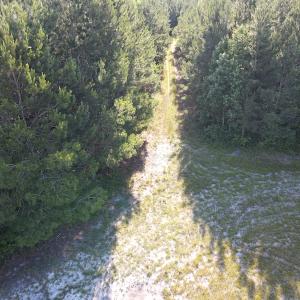 Photo #25 of Off Johnsontown Road, Elizabethtown, NC 129.5 acres