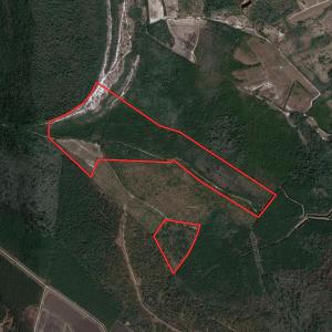 Photo #1 of Off Johnsontown Road, Elizabethtown, NC 129.5 acres